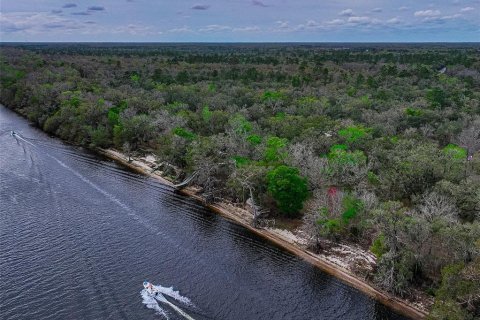 Купить виллу или дом в Брэнфорд, Флорида 3 комнаты, 242.47м2, № 2197231 - фото 4