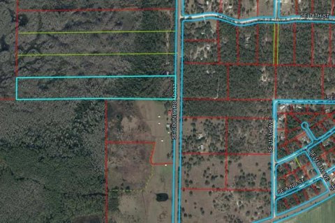 Land in Morriston, Florida № 2379125 - photo 4
