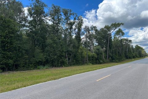 Land in Morriston, Florida № 2379125 - photo 2