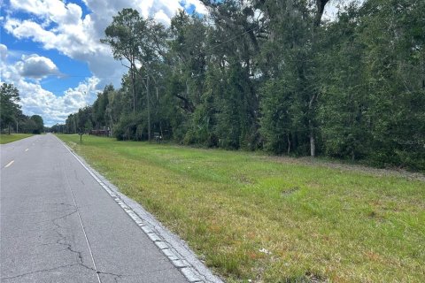 Land in Morriston, Florida № 2379125 - photo 3