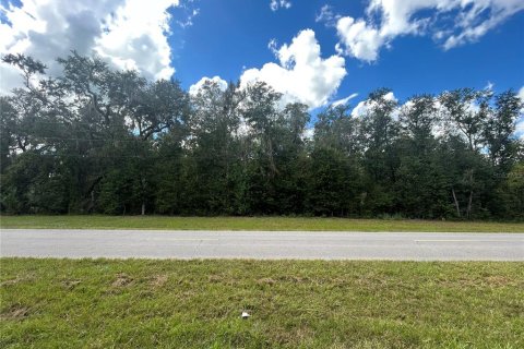 Land in Morriston, Florida № 2379125