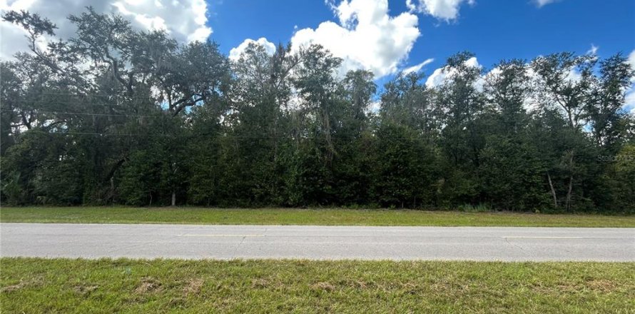 Land in Morriston, Florida № 2379125