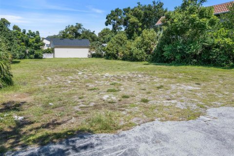 Land in Winter Park, Florida № 1856607 - photo 3