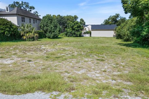 Land in Winter Park, Florida № 1856607 - photo 4