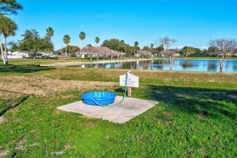 Copropriété à louer à Saint Petersburg, Floride: 1 chambre, 52.21 m2 № 2098236 - photo 21