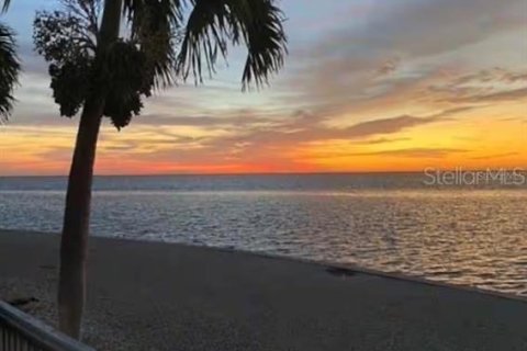 Copropriété à louer à Saint Petersburg, Floride: 1 chambre, 52.21 m2 № 2098236 - photo 17