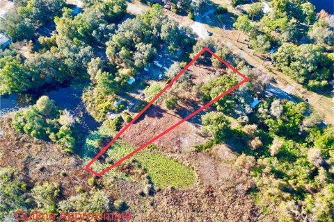 Land in Hawthorne, Florida № 2165181 - photo 13