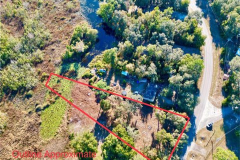 Land in Hawthorne, Florida № 2165181 - photo 14