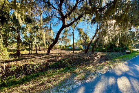 Land in Hawthorne, Florida № 2165181 - photo 2