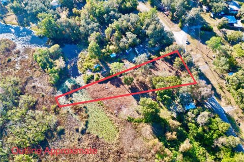 Land in Hawthorne, Florida № 2165181 - photo 17