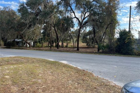 Land in Hawthorne, Florida № 2165181 - photo 6
