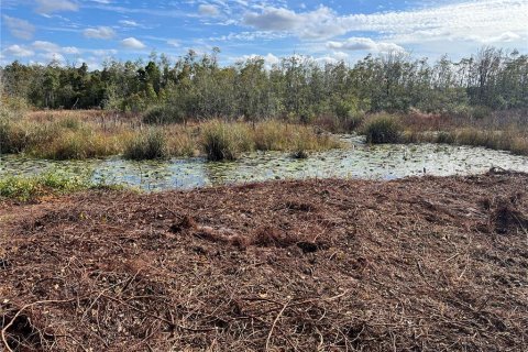 Land in Hawthorne, Florida № 2165181 - photo 10