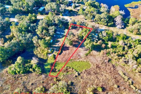 Land in Hawthorne, Florida № 2165181 - photo 19