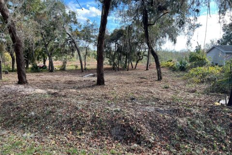 Land in Hawthorne, Florida № 2165181 - photo 7