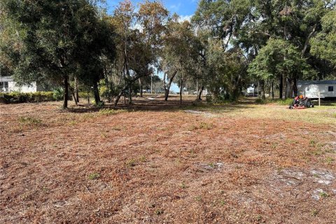 Land in Hawthorne, Florida № 2165181 - photo 11