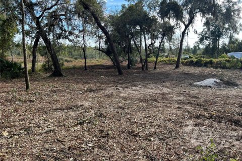 Land in Hawthorne, Florida № 2165181 - photo 8