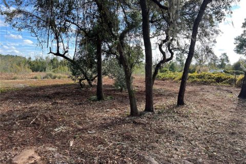 Land in Hawthorne, Florida № 2165181 - photo 9