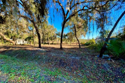 Land in Hawthorne, Florida № 2165181 - photo 1