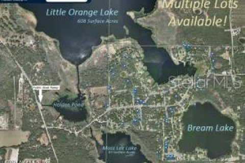 Land in Hawthorne, Florida № 2165181 - photo 18
