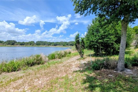 Land in Lake Wales, Florida № 2122850 - photo 3