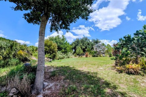 Land in Lake Wales, Florida № 2122850 - photo 19