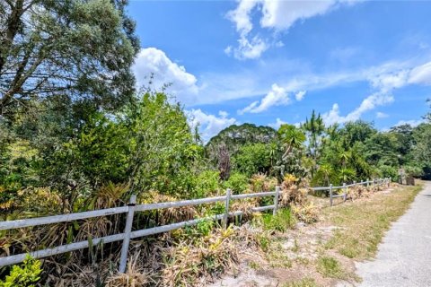 Land in Lake Wales, Florida № 2122850 - photo 23