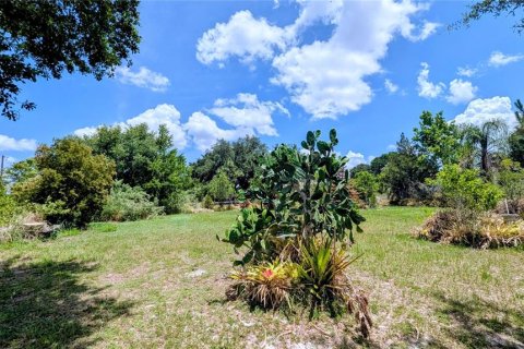 Land in Lake Wales, Florida № 2122850 - photo 16