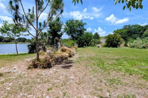 Land in Lake Wales, Florida № 2122850 - photo 8