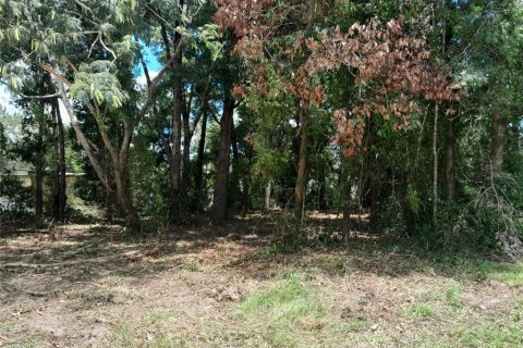 Terrain à vendre à Williston, Floride № 2205707 - photo 4