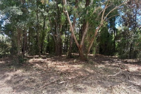 Terrain à Williston, Floride № 2205707