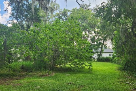 Terrain à vendre à Sanford, Floride № 1898464 - photo 4