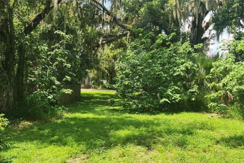 Terrain à vendre à Sanford, Floride № 1898464 - photo 8