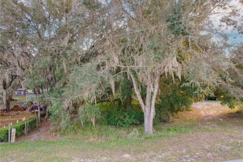 Terrain à vendre à Astatula, Floride № 2230039 - photo 19