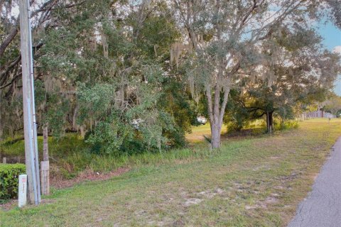 Terrain à vendre à Astatula, Floride № 2230039 - photo 11