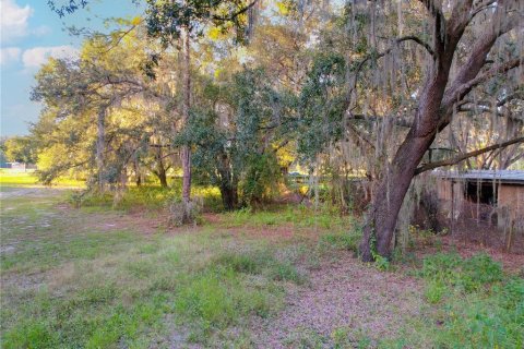 Terrain à vendre à Astatula, Floride № 2230039 - photo 15