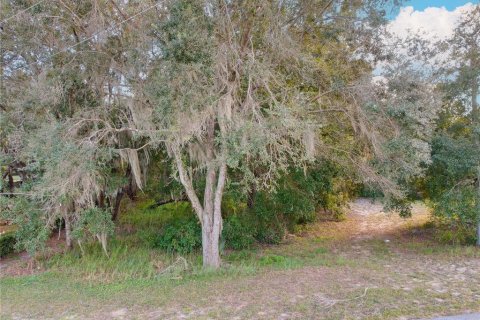 Terrain à vendre à Astatula, Floride № 2230039 - photo 18