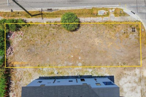 Land in Tampa, Florida № 2166229 - photo 2