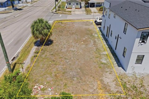 Land in Tampa, Florida № 2166229 - photo 3