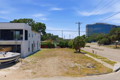 Land in Tampa, Florida № 2166229 - photo 5
