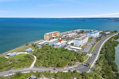 Condo in Dunedin, Florida, 3 bedrooms  № 1601879 - photo 3