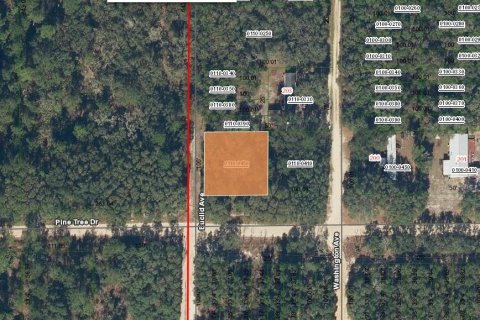 Commercial property in Palatka, Florida № 2194087