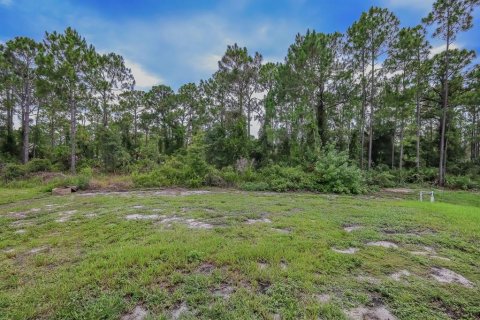 House in Lehigh Acres, Florida 3 bedrooms, 153.29 sq.m. № 2221269 - photo 29