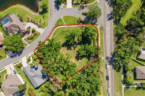 Terreno en venta en Ellenton, Florida № 2102113 - foto 2
