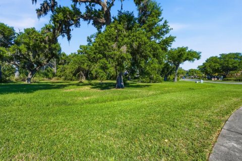 Terreno en venta en Ellenton, Florida № 2102113 - foto 3
