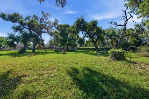 Terreno en venta en Ellenton, Florida № 2102113 - foto 14