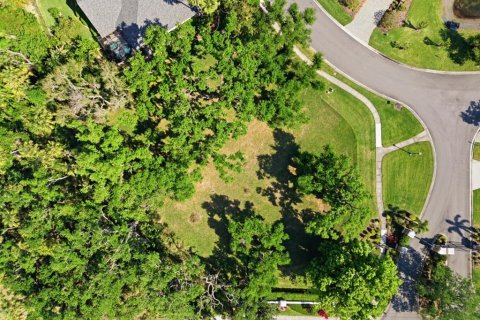Terreno en venta en Ellenton, Florida № 2102113 - foto 9