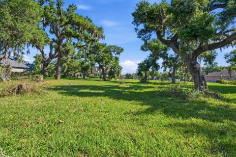 Terreno en venta en Ellenton, Florida № 2102113 - foto 15
