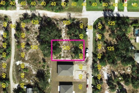 Land in Punta Gorda, Florida № 2162718 - photo 7