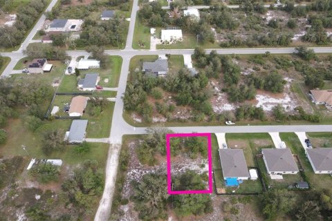 Land in Punta Gorda, Florida № 2162718 - photo 3