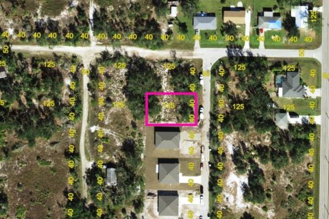 Land in Punta Gorda, Florida № 2162718 - photo 8